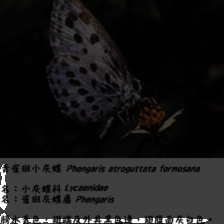 conv2-133