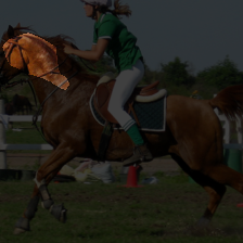 conv4-54