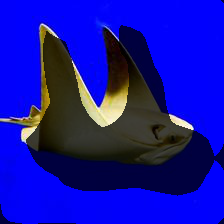 conv3-95