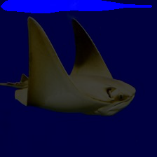 conv3-54