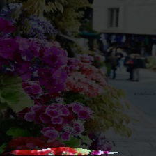 conv2-165