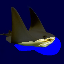 conv5-222