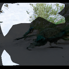 layer0-969