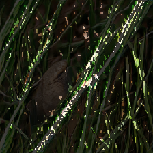 layer4-130