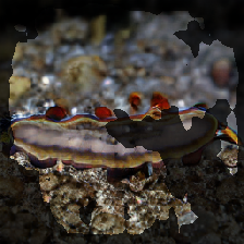 layer2-264