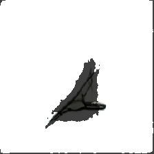 layer4-131