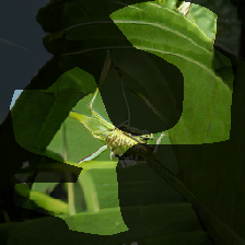 layer0-971