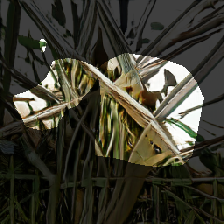 layer0-971