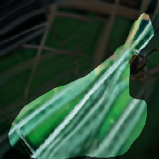 layer1-14