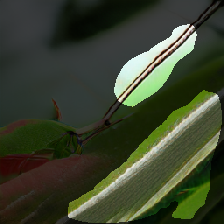 layer1-14