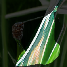 layer1-14