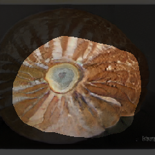 layer1-249