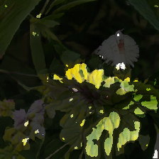 layer4-135