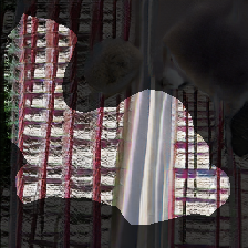 layer1-19