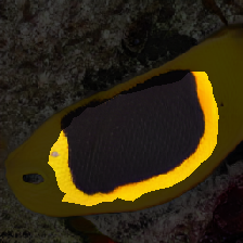 layer2-276