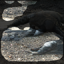 layer2-276