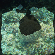layer2-276