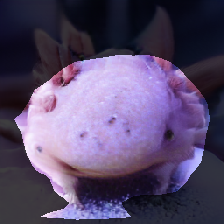 layer1-626