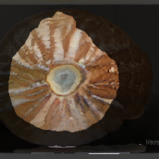 layer2-278
