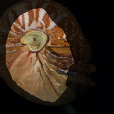 layer2-278