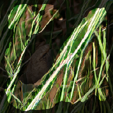 layer2-278
