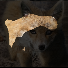 layer2-279