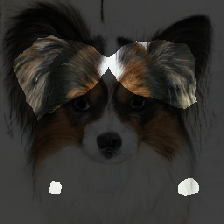 layer2-279