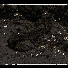 layer4-143
