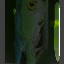 layer1-629