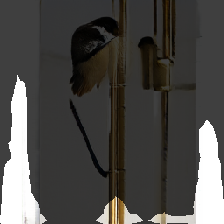layer2-281