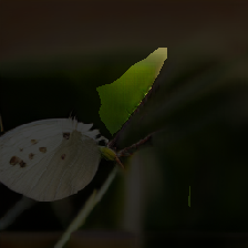 layer2-282