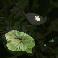 layer1-27