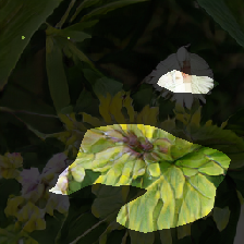 layer1-27