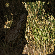 layer2-283