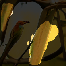 layer2-283