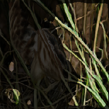layer2-283