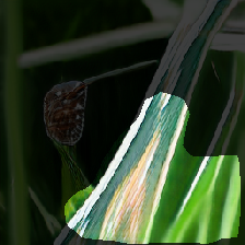 layer1-633