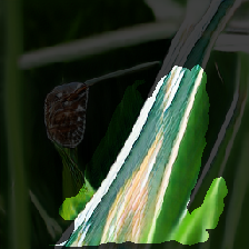 layer2-114