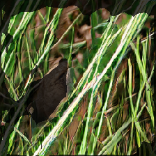layer2-114