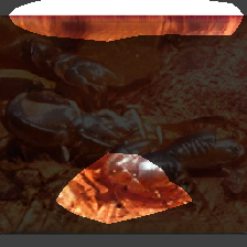 layer0-817