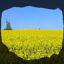 layer1-637