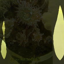 layer0-992
