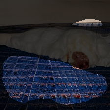 layer1-640