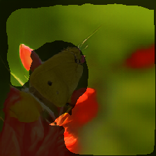 layer2-294
