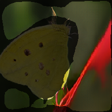layer2-294