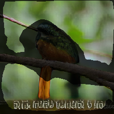 layer2-294