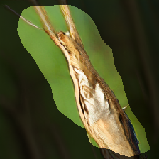layer0-995