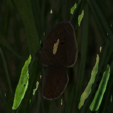 layer2-295