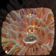layer1-35