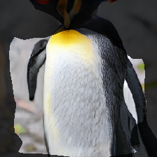 layer1-647